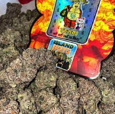 Buy Sonoran Toad Strain Online