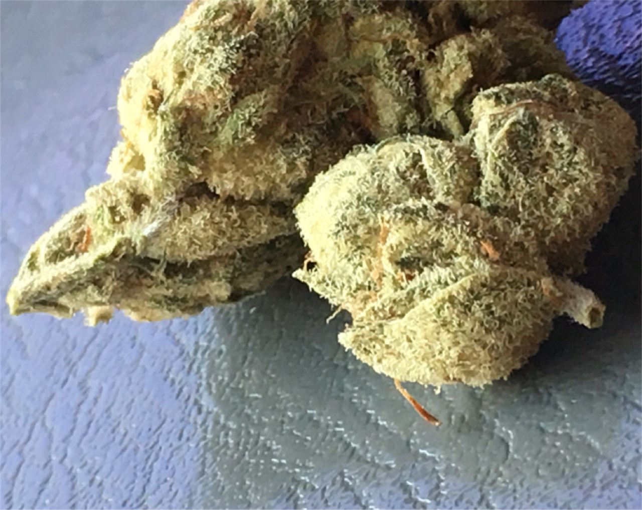 Buy Gorilla Glue #4 Online for sale