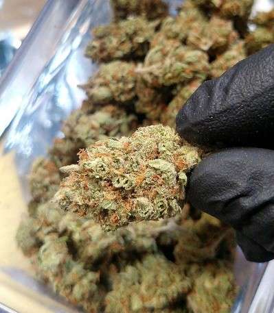 Buy Super Silver Haze Online