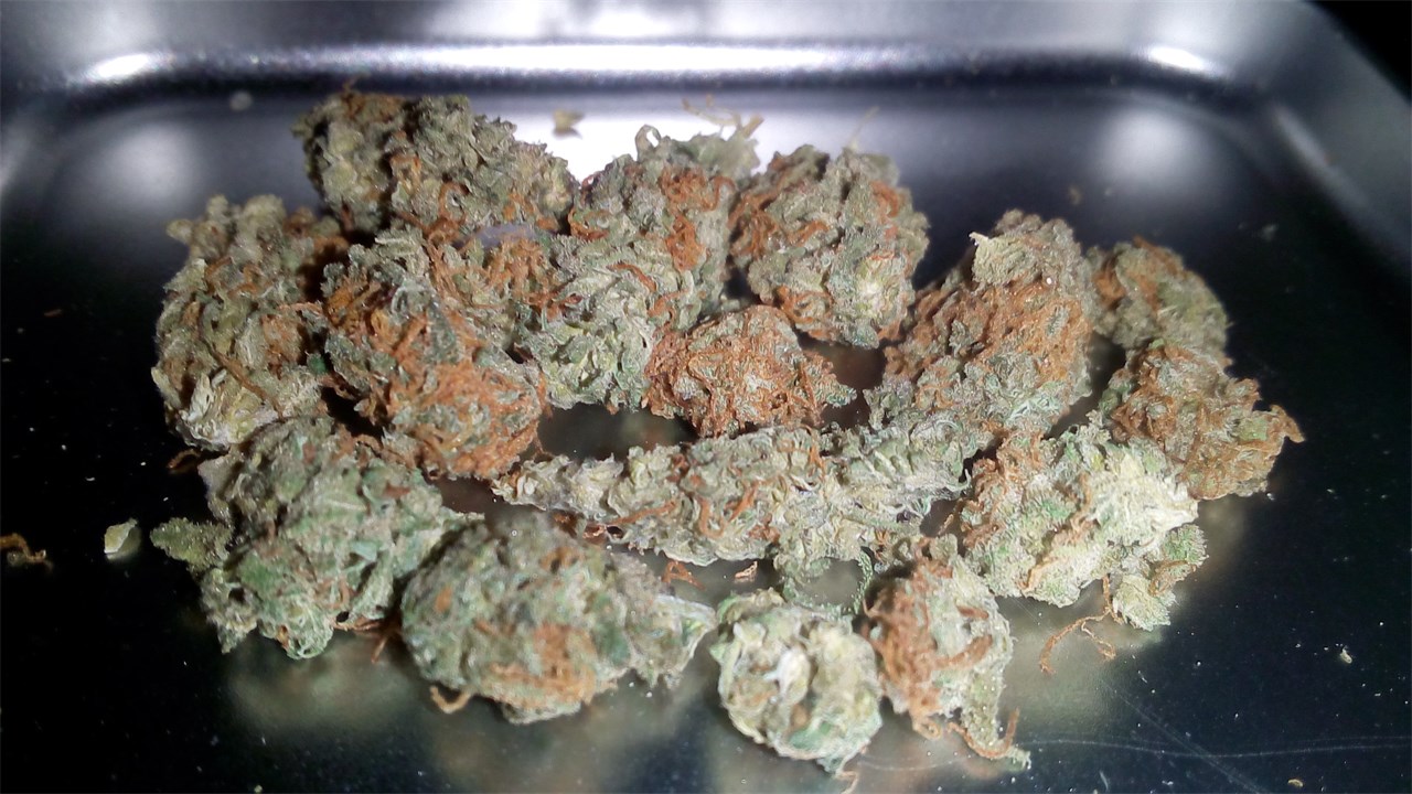 Moby Dick strain online